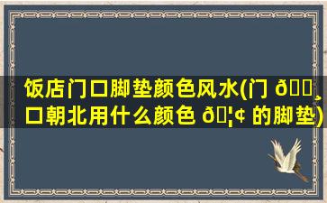 饭店门口脚垫颜色风水(门 🕸 口朝北用什么颜色 🦢 的脚垫)